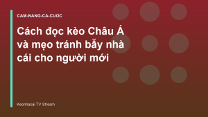 Read more about the article Cách đọc kèo Châu Á và mẹo tránh bẫy nhà cái cho người mới