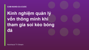 Read more about the article Kinh nghiệm quản lý vốn thông minh khi tham gia soi kèo bóng đá